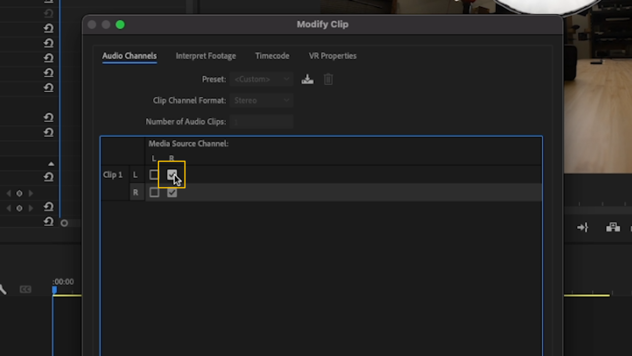 Adobe Premiere modify clip window. Removing timecode buzz in right channel
