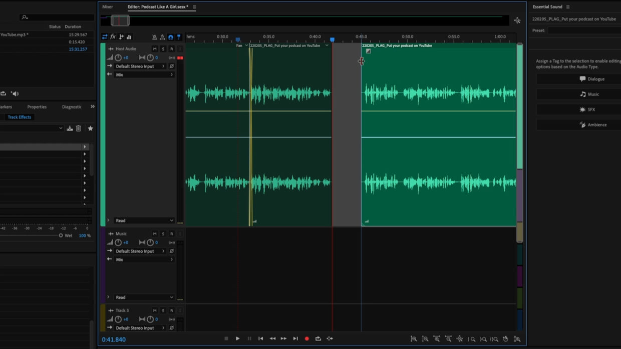 Adobe Audition multitrack window. Podcast editing