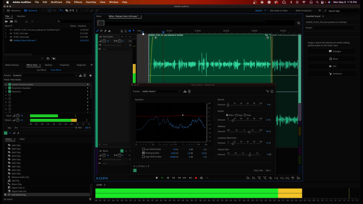 Adobe Audition multitrack window. Podcast editing. Mastering effect