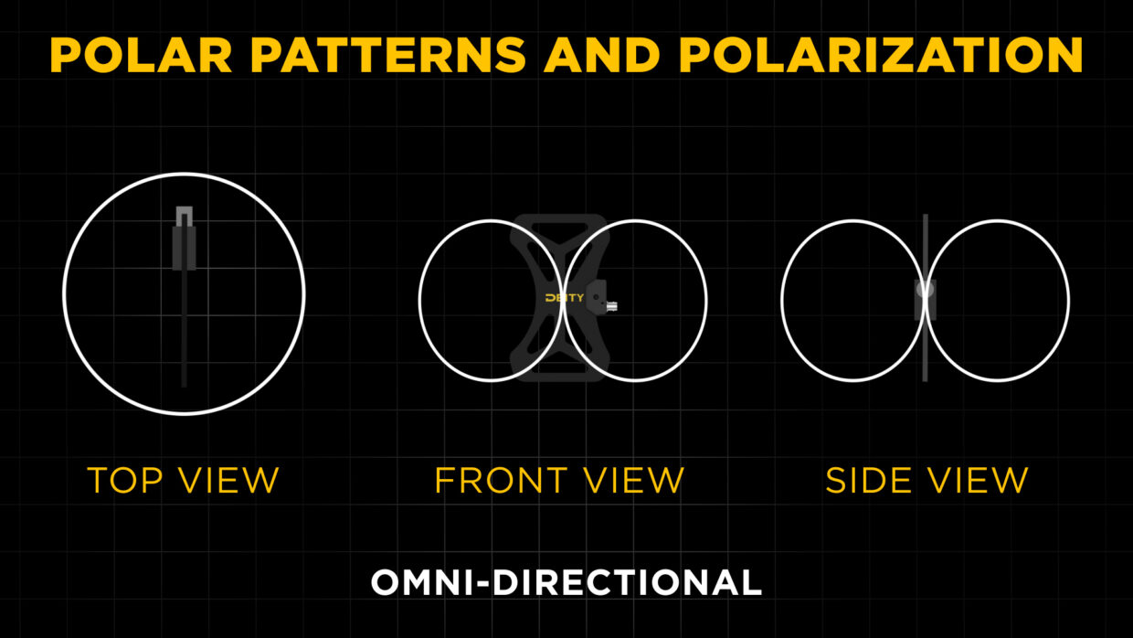 Polar patterns and polarization graphic for the Deity BF1